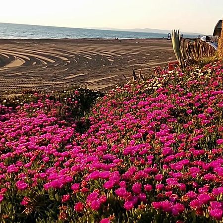 Hotel Lupo Di Mare Марина-ди- Кастаньето Экстерьер фото
