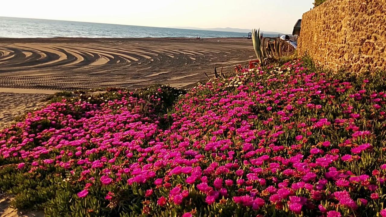 Hotel Lupo Di Mare Марина-ди- Кастаньето Экстерьер фото